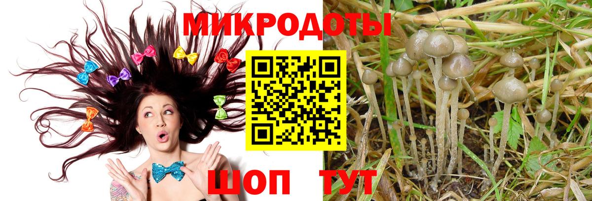Псилоцибиновые грибы GOLDEN TEACHER Севастополь
